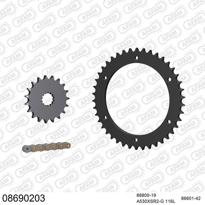 Kit chaîne AFAM Triumph Sprint GT 1050 (2011-2013)