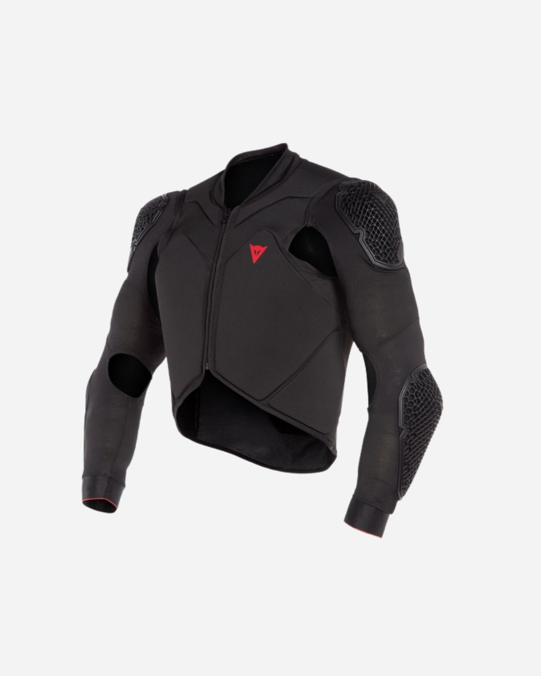 Veste de Protection Dainese Rhyolite 2 - Noir