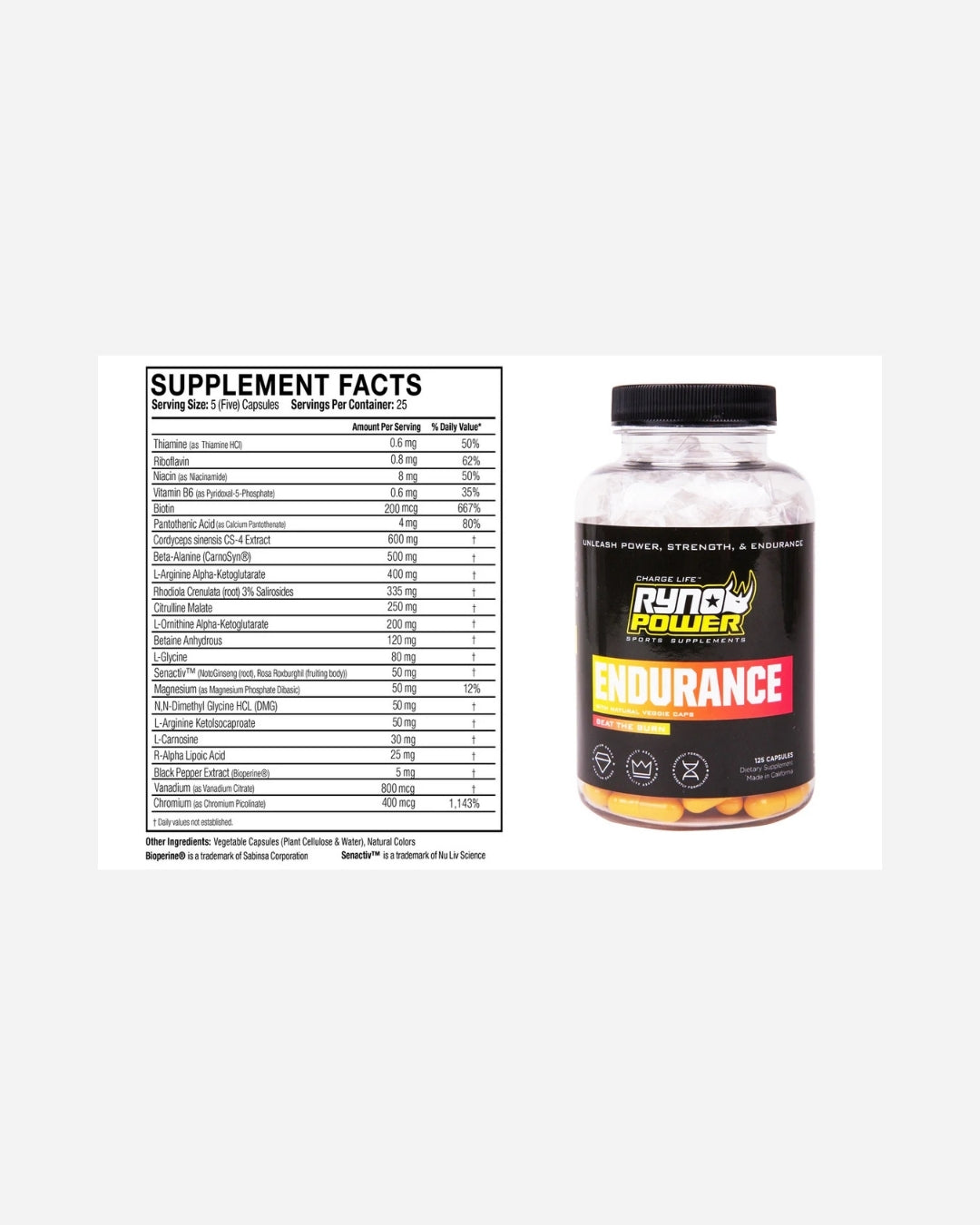 Pack Endurance Plus Ryno Power - Hydration Fuel